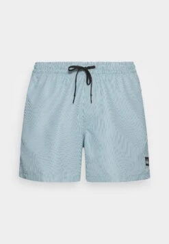 Quiksilver Everyday Deluxe Volley - Badeshorts - Brittany Blue