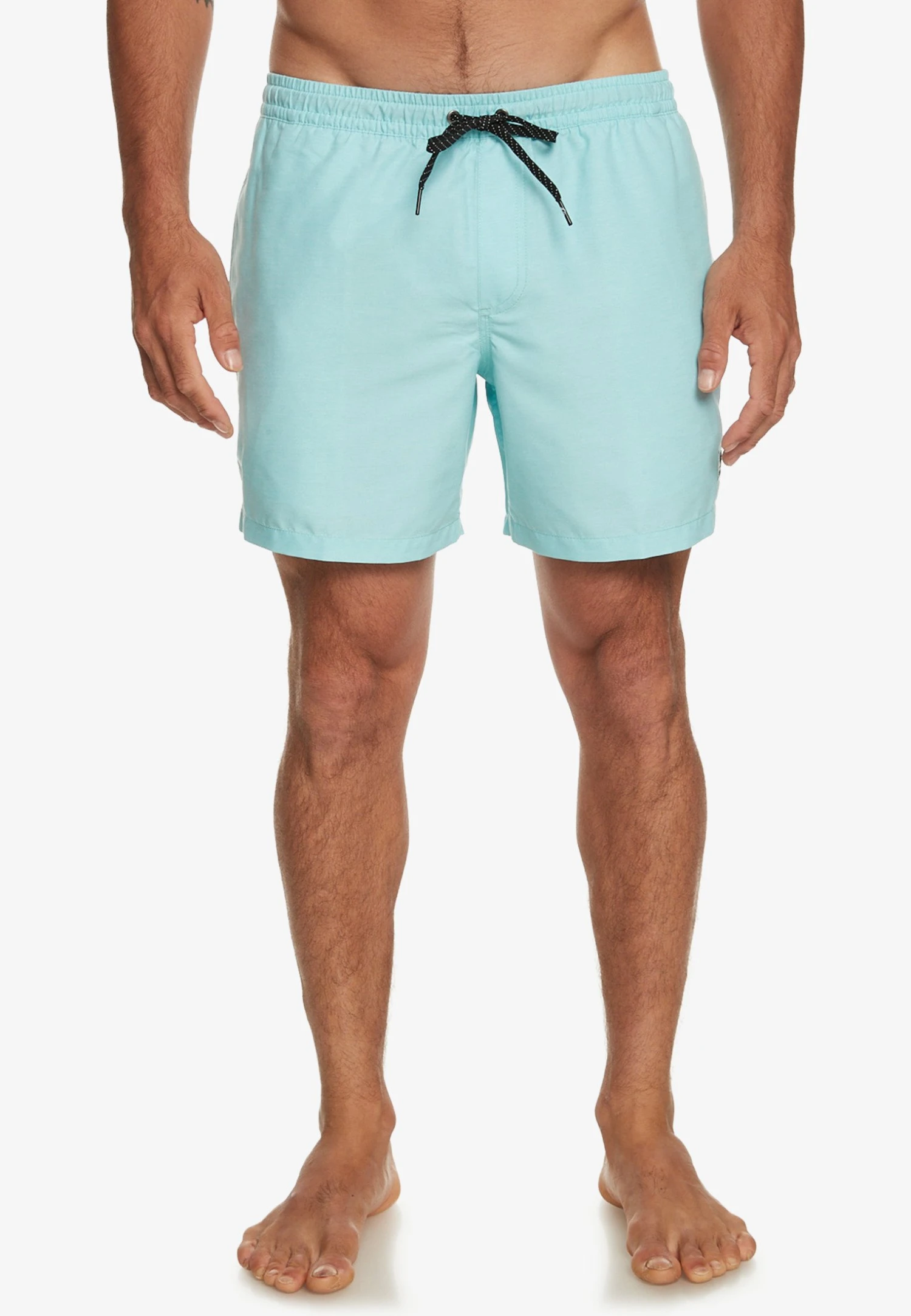 Quiksilver Everyday Deluxe Volley - Badeshorts - Blue Heather